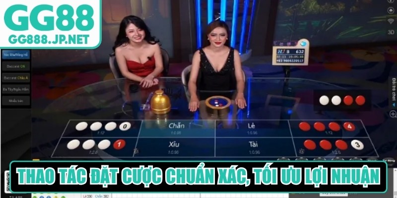 Thao tác đặt cược chuẩn xác, tối ưu lợi nhuận khi chơi Tài xỉu